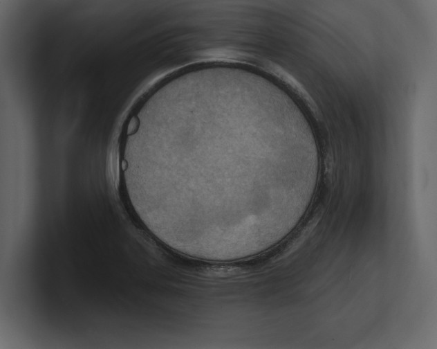 X0000100471323200807111033