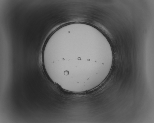 X0000100471324200807111033