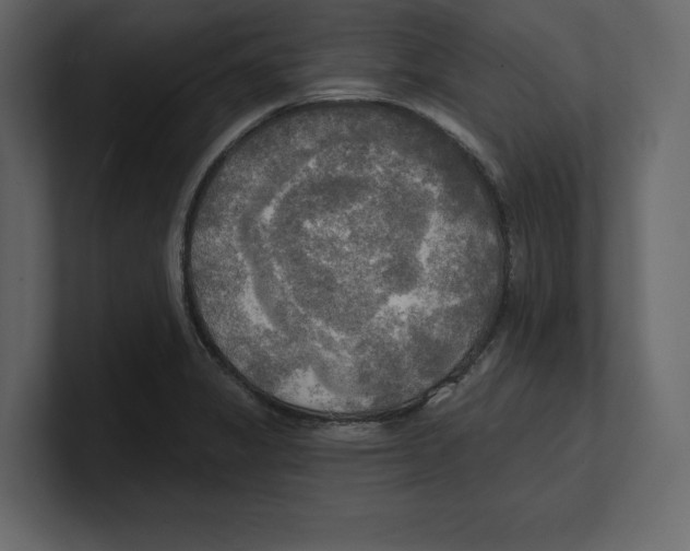 X0000100471325200807111033