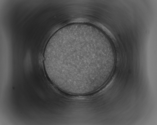 X0000100471329200807111033