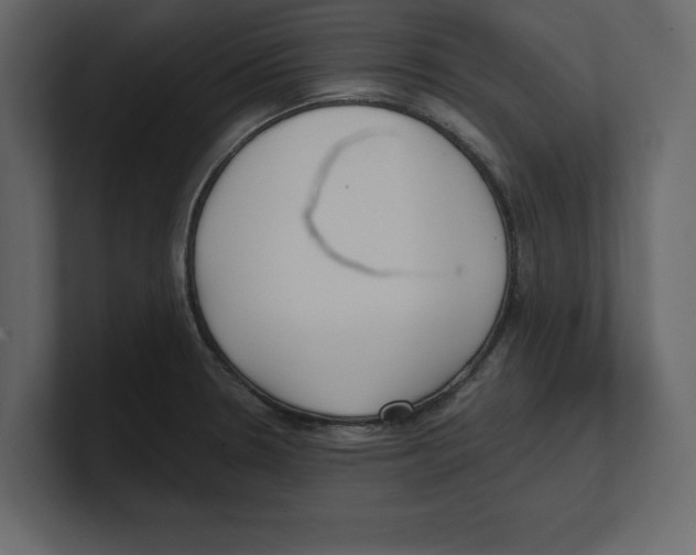 X0000100471330200807111033