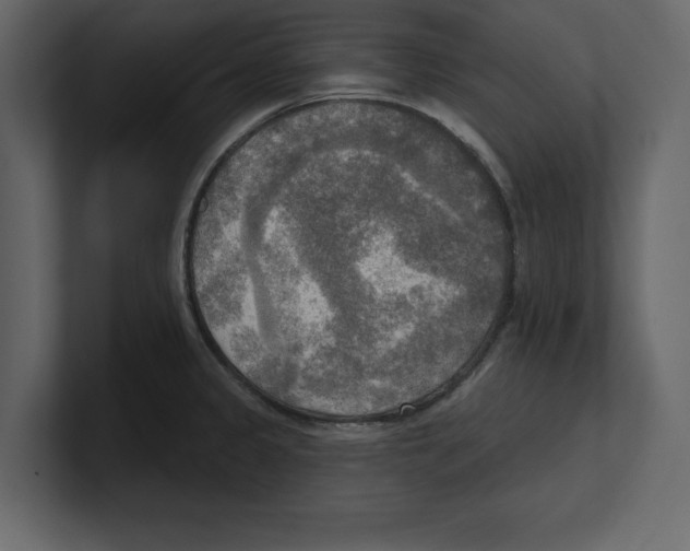 X0000100471333200807111033