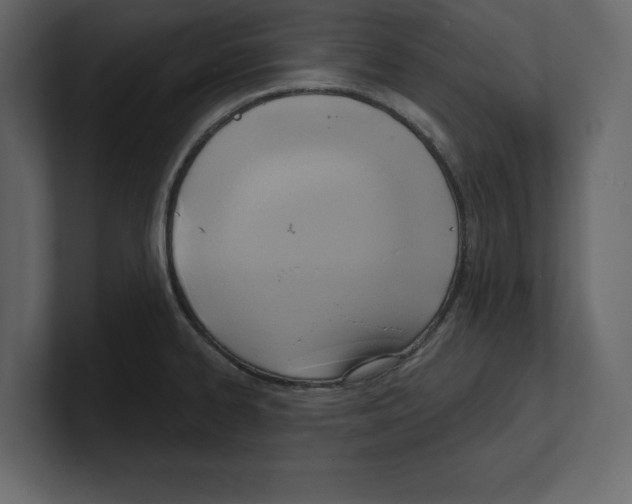 X0000100471334200807111033