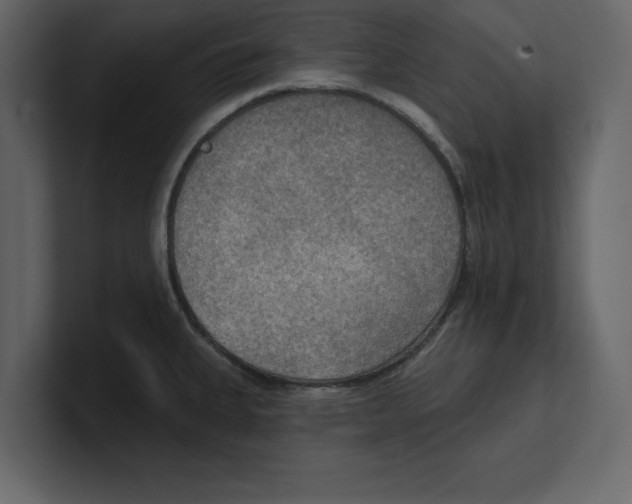 X0000100471335200807111033