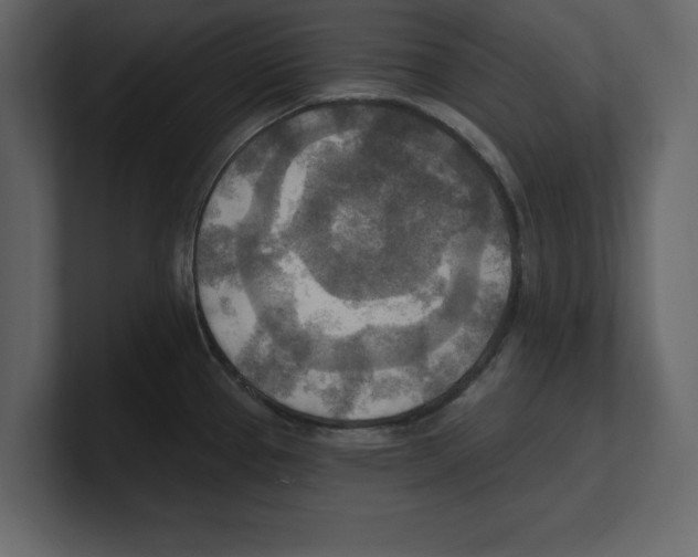 X0000100471337200807111033