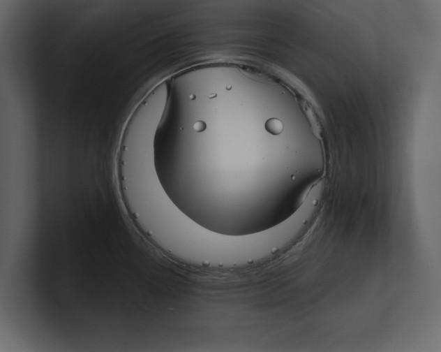 X0000100471338200807111033