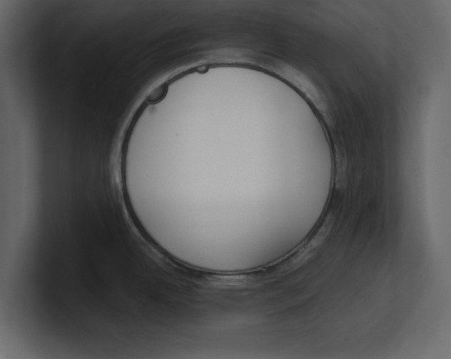 X0000100471342200807111033