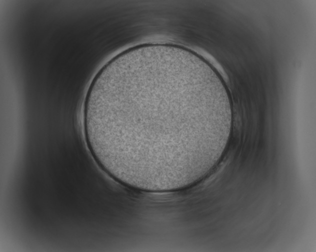 X0000100471343200807111033