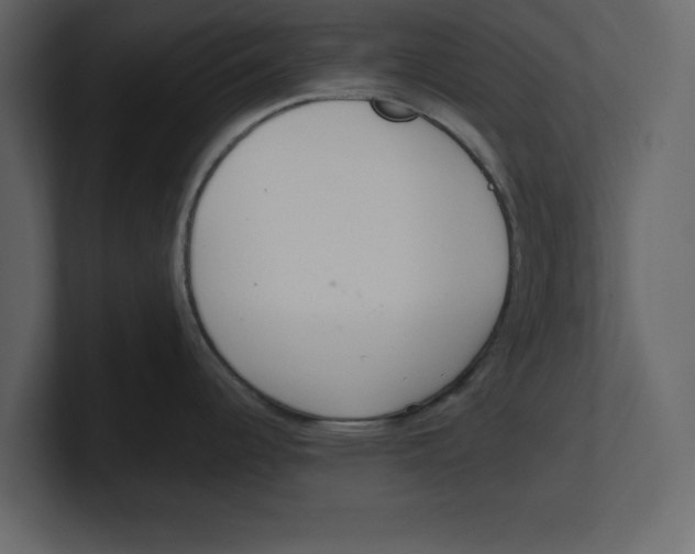 X0000100471344200807111033