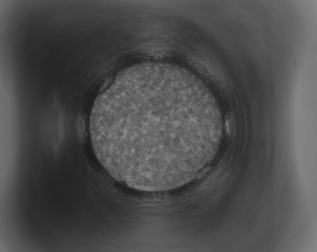 X0000100471347200807111032