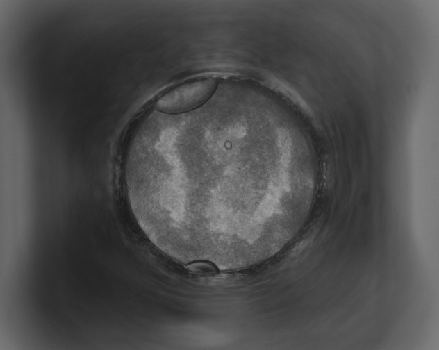 X0000100471352200807111032