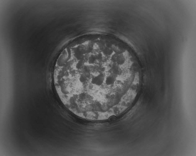 X0000100471355200807111032