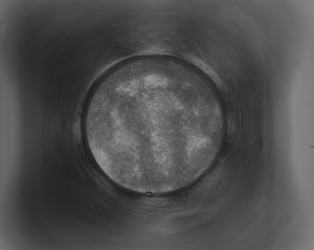 X0000100471356200807111032