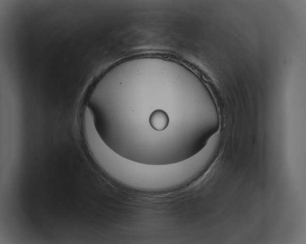 X0000100471357200807111032