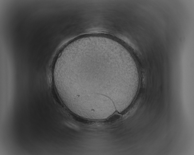 X0000100471358200807111032