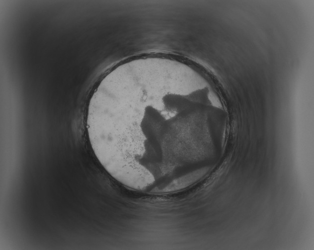 X0000100471359200807111032