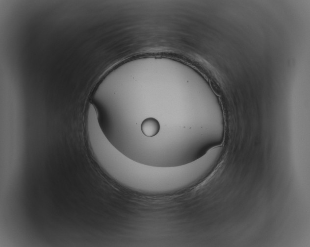 X0000100471361200807111032