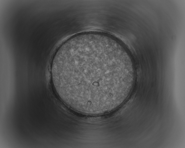 X0000100471363200807111032