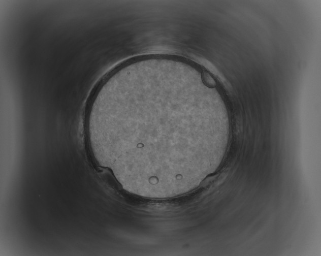 X0000100471364200807111032