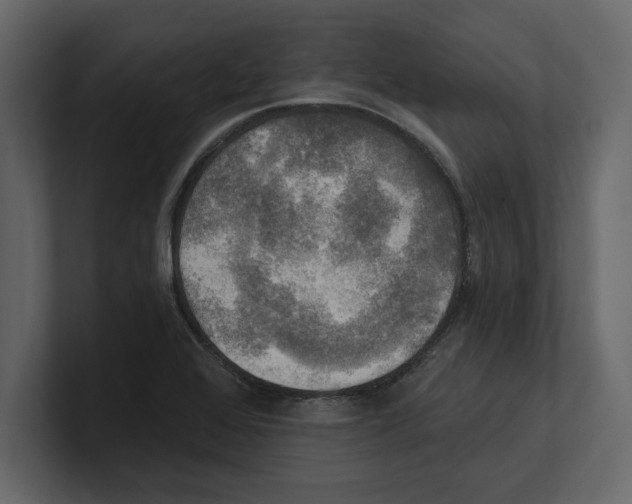 X0000100471368200807111032