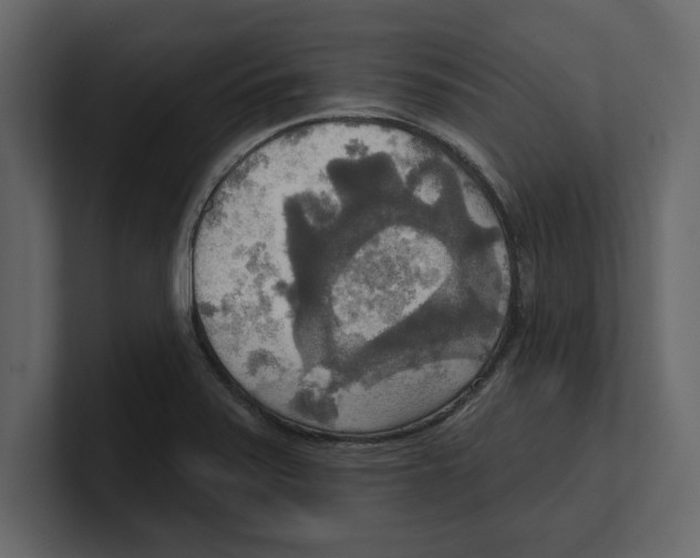 X0000100471371200807111032