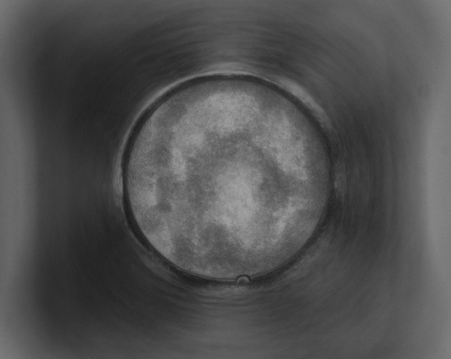 X0000100471372200807111032