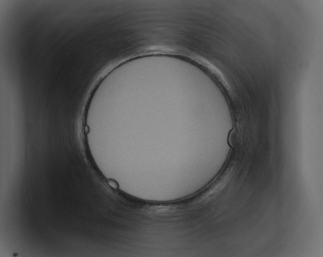 X0000100471373200807111032