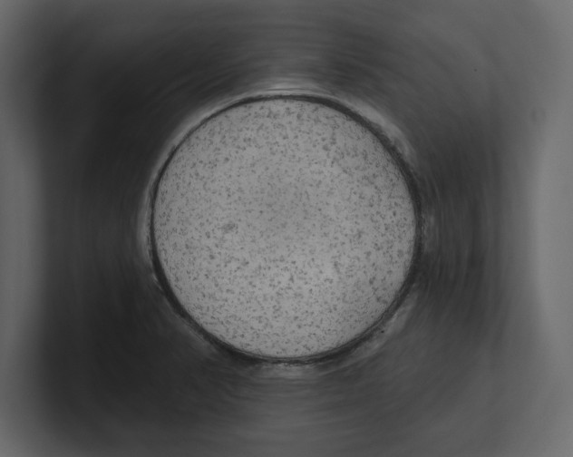 X0000100471374200807111032