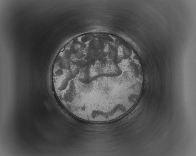 X0000100471375200807111032