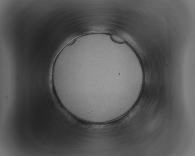 X0000100471378200807111032