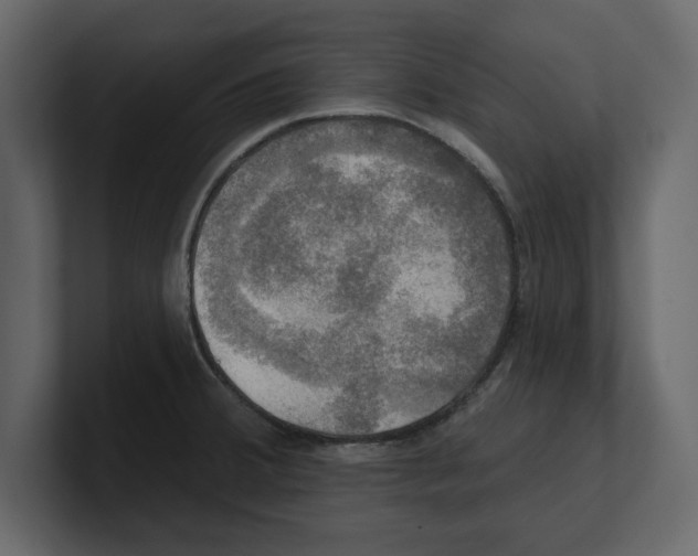 X0000100471380200807111032