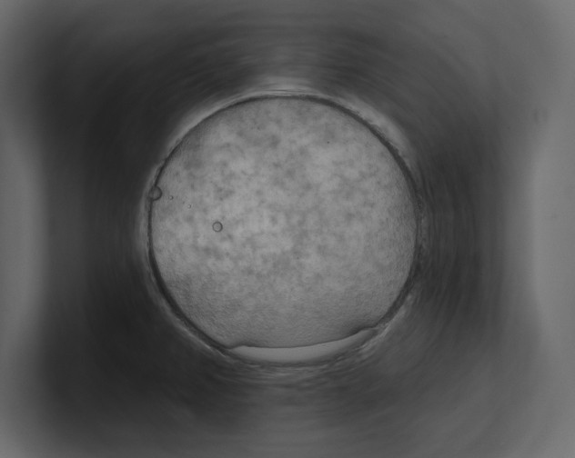 X0000100471382200807111032