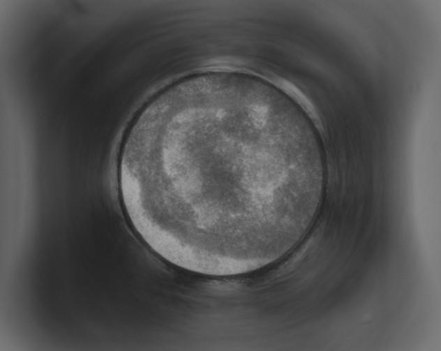 X0000100471384200807111032