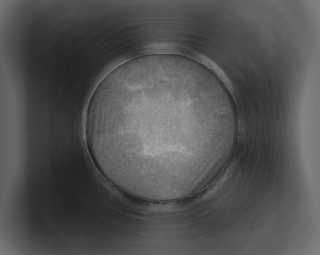 X0000100471386200807111032