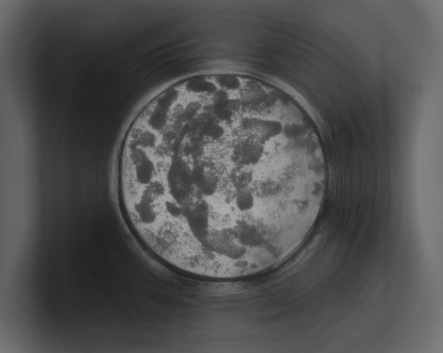 X0000100471387200807111032