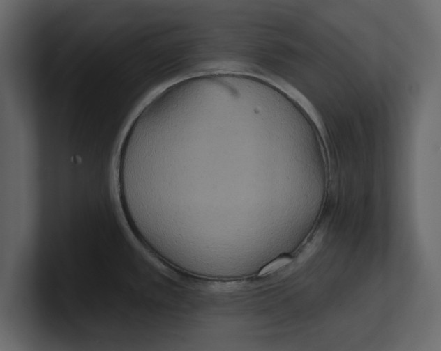 X0000100471389200807111032