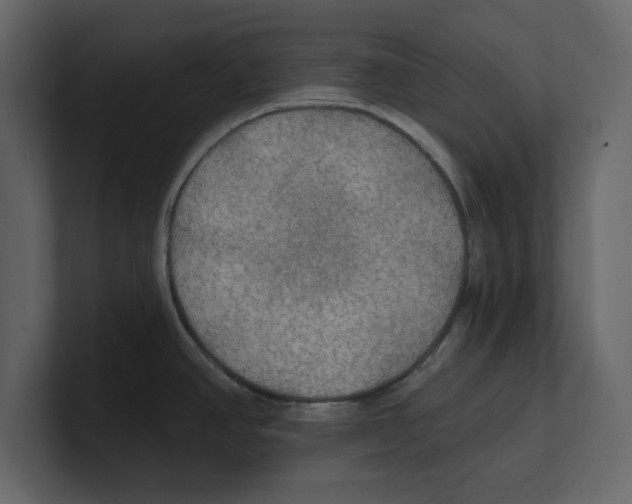 X0000100471390200807111032