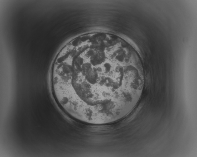 X0000100471391200807111032