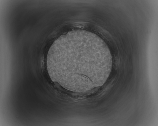 X0000100471394200807111031