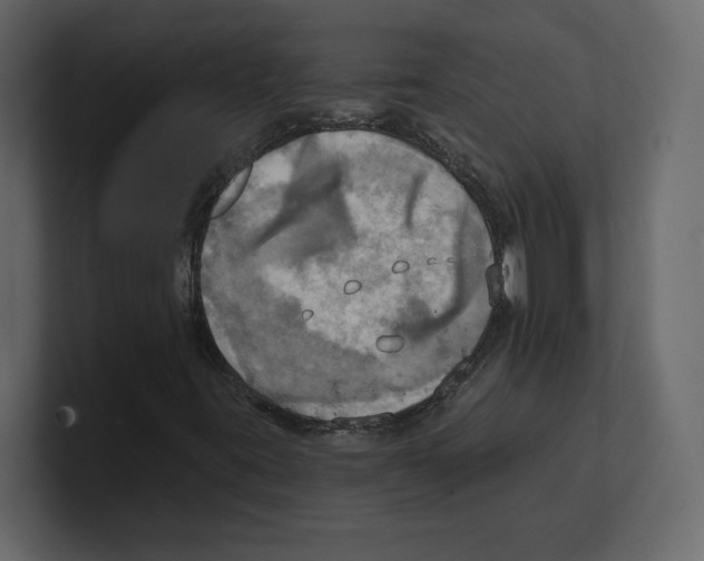 X0000100471395200807111031