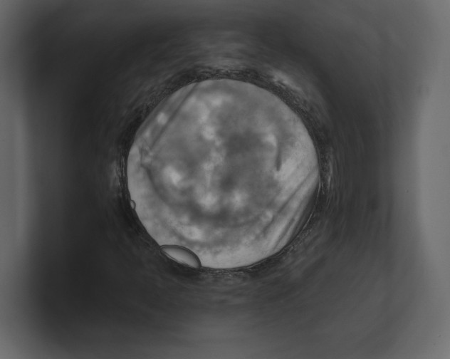 X0000100471397200807111031