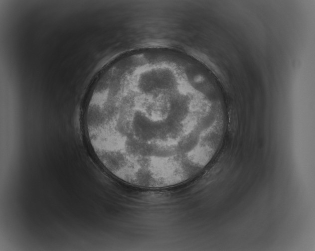 X0000100471404200807111031