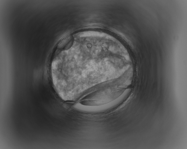 X0000100471405200807111031