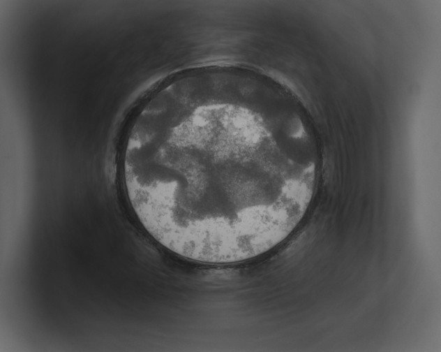 X0000100471406200807111031