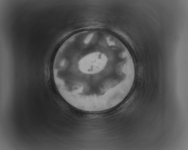 X0000100471407200807111031