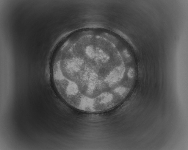 X0000100471408200807111031