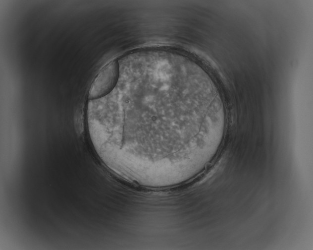 X0000100471409200807111031