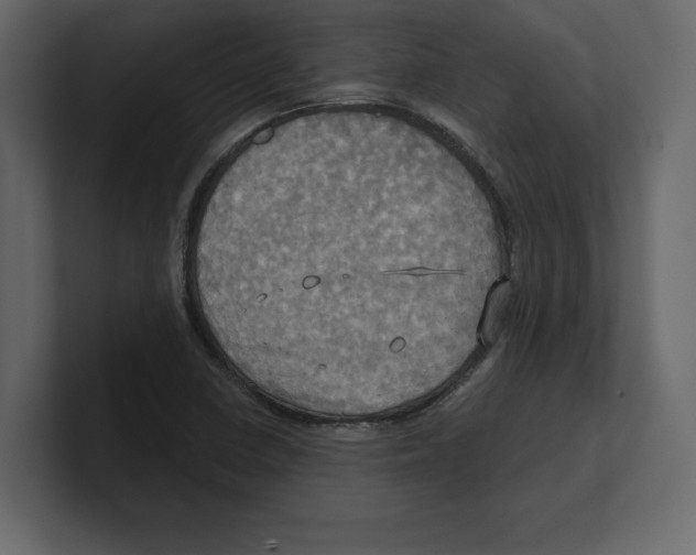 X0000100471410200807111031