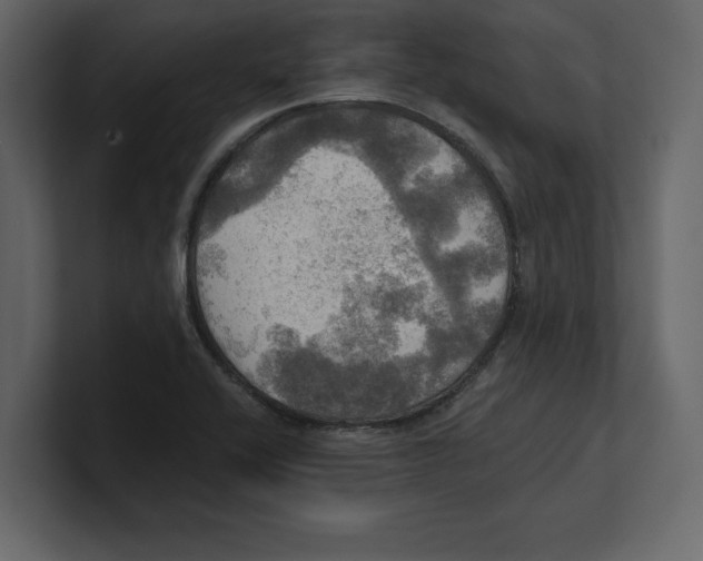 X0000100471416200807111032