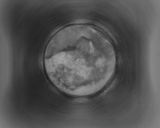 X0000100471417200807111032